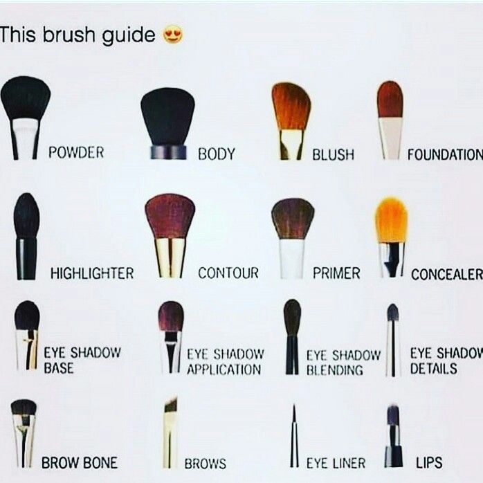 Makeup Brushes and Their Uses -   11 makeup For Beginners list ideas