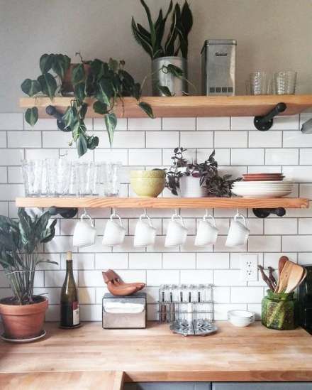 Best Kitchen Shelves Plants Ideas -   11 plants Painting kitchens ideas