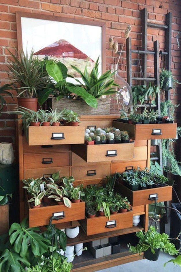 12 plants Office greenhouses ideas