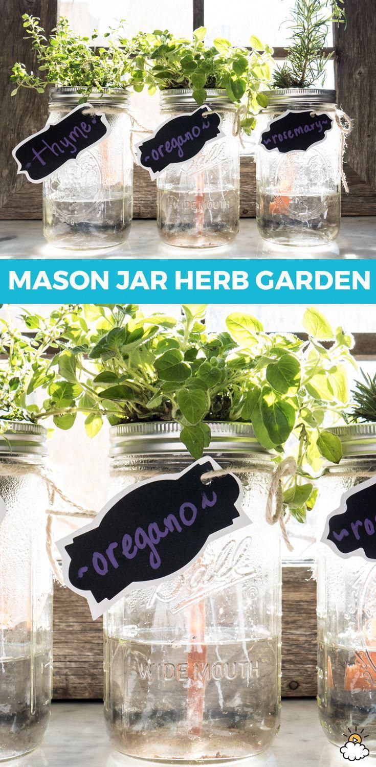 Fill An Applesauce Cup With Dirt And Put It In A Mason Jar For A Cute Herb Garden -   13 garden design Herb mason jars ideas