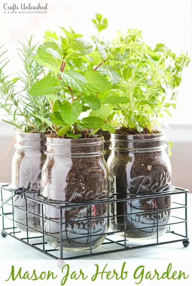 13 garden design Herb mason jars ideas