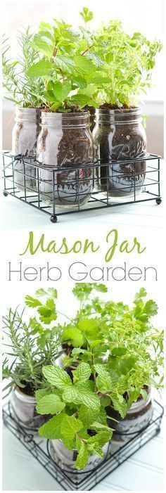 13 garden design Herb mason jars ideas