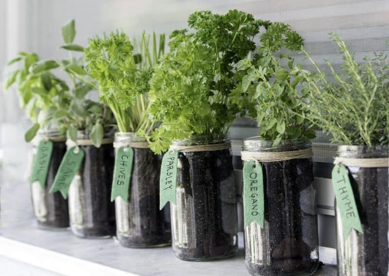 13 garden design Herb mason jars ideas