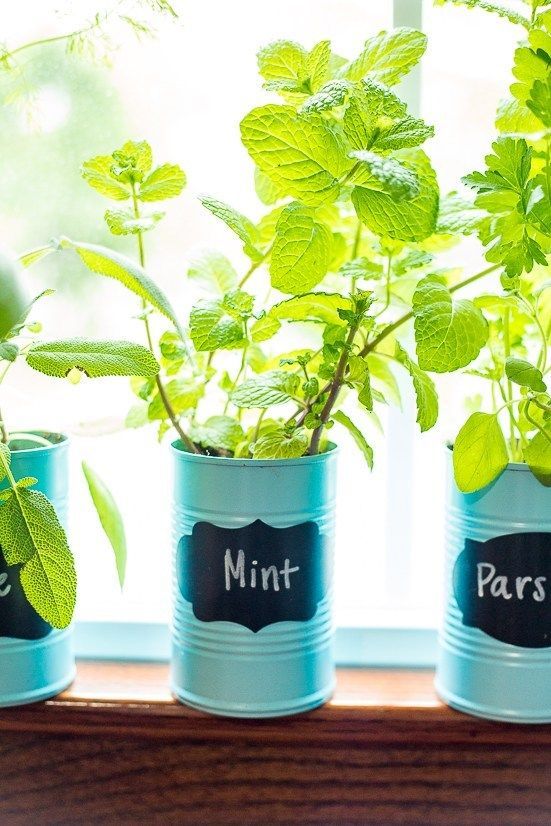 35+ Creative Herb Garden Ideas for Indoors and Outdoors -   13 garden design Interior window ideas
