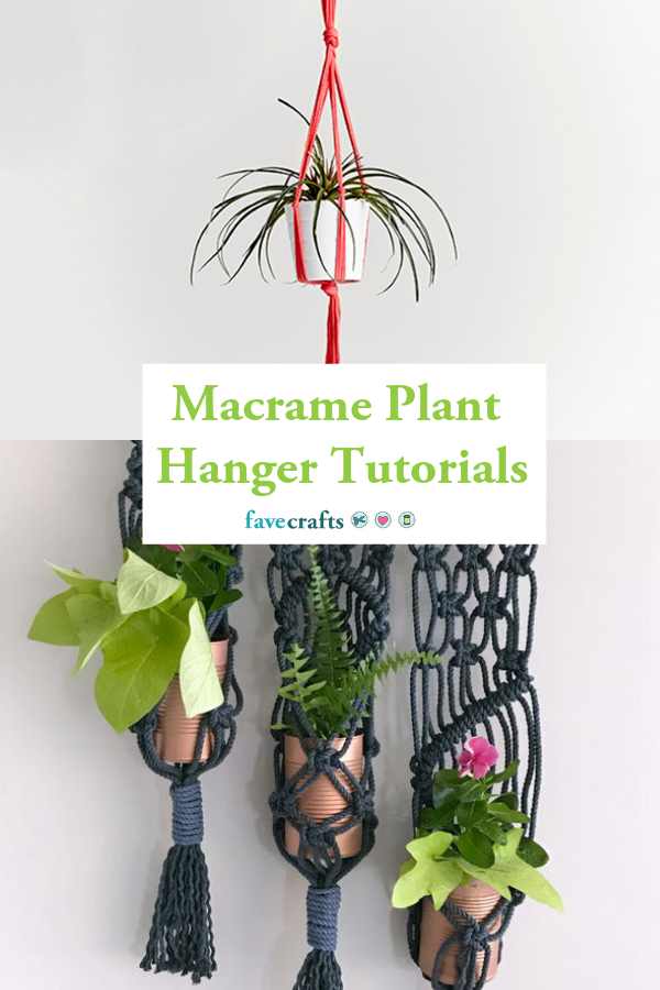 15 plants tutorials ideas