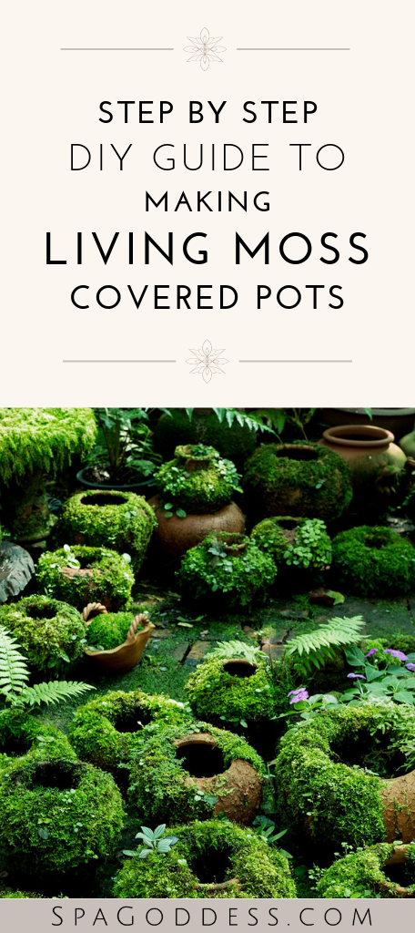 15 plants tutorials ideas