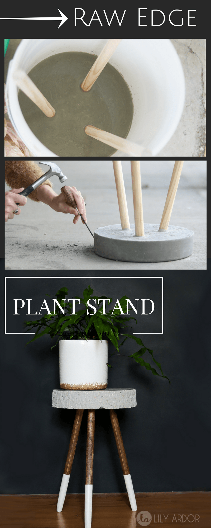 15 plants tutorials ideas