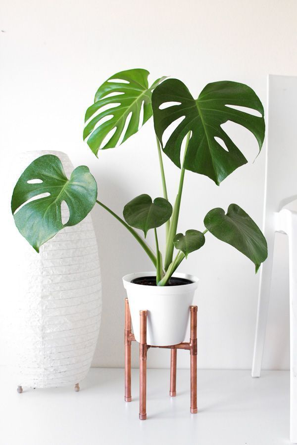 Raised Copper Pot Plant Stand DIY // Tutorial -   15 plants tutorials ideas