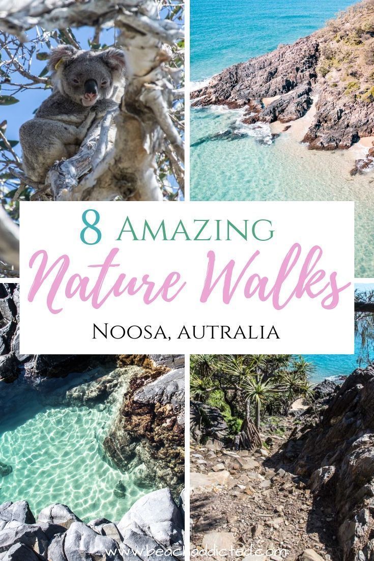 8 amazing Noosa National Park walks -   15 travel destinations Australia national parks ideas