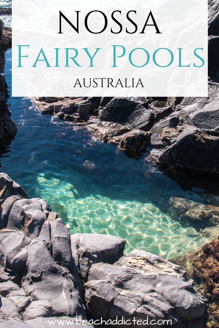 Fairy Pools Noosa National park: How to easily find them and the best photo guide -   15 travel destinations Australia national parks ideas