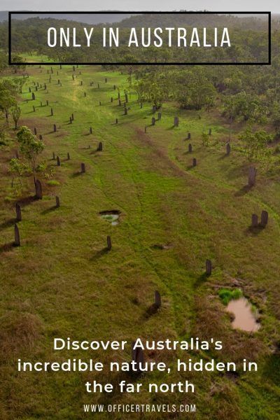 Find out why Litchfield National Park and its giant Termite Mounds are a MUST SEE -   15 travel destinations Australia national parks ideas