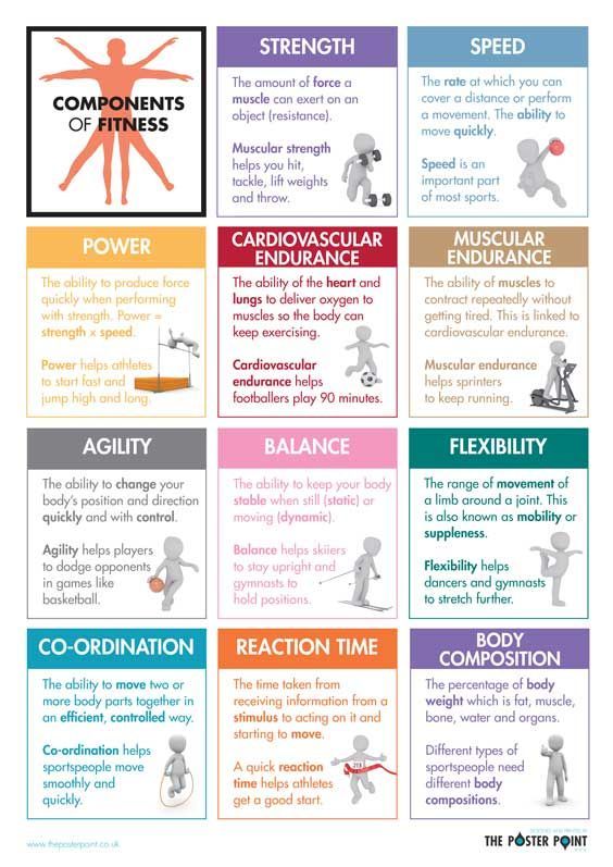 Components of Fitness Poster. Definitions for GCSE PE students -   16 fitness Poster for women ideas