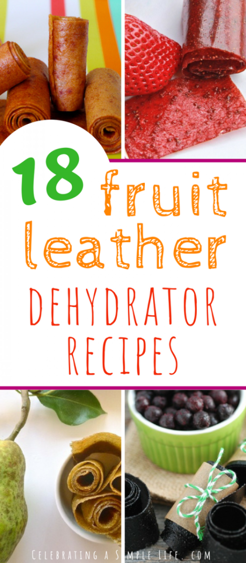 18 Amazing Fruit Leather Dehydrator Recipes -   16 healthy recipes Fruit cooking ideas