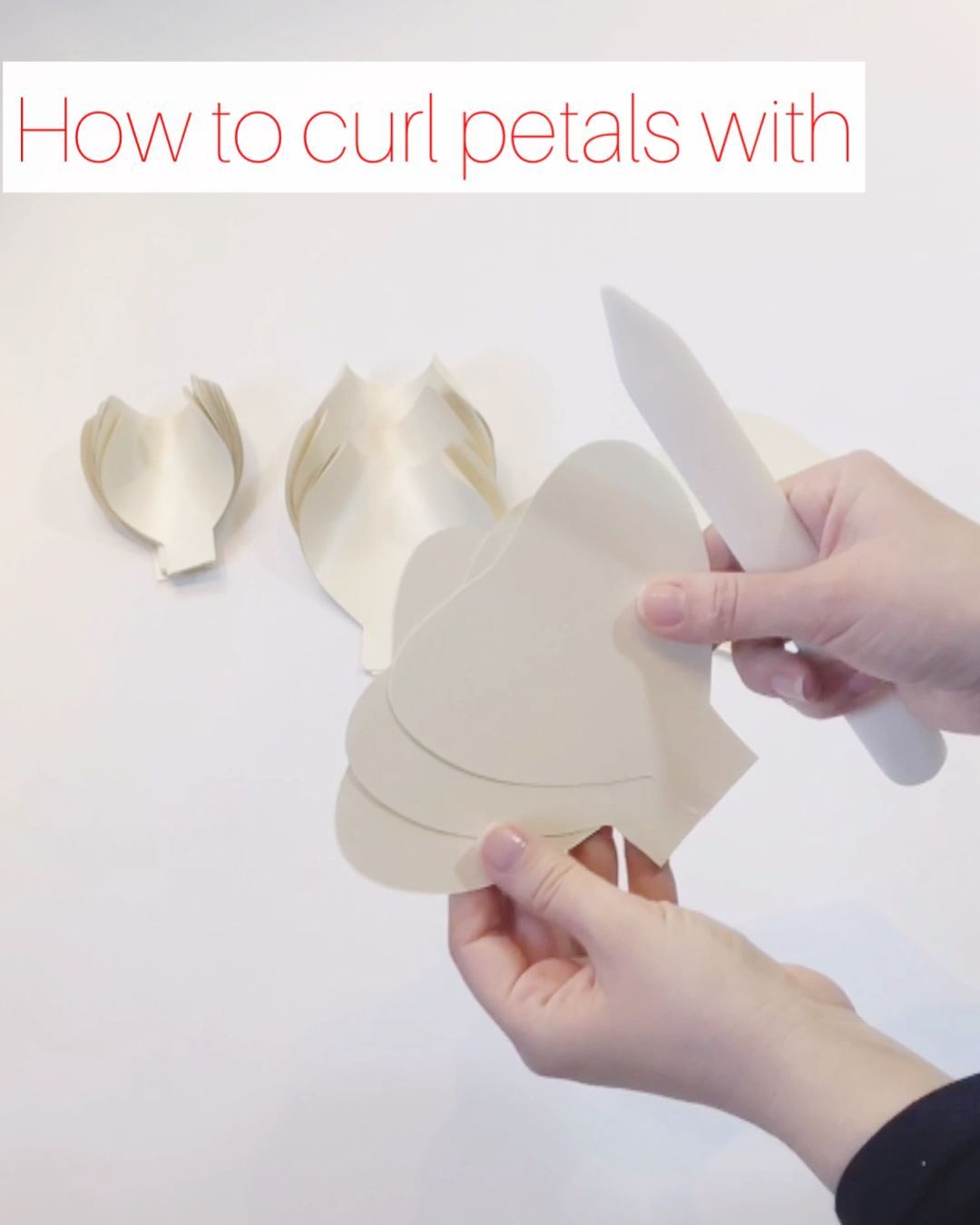 3 Ways to Curl / Shape Paper Petals With Bonefolder -   17 diy projects Tutorials paper flowers ideas