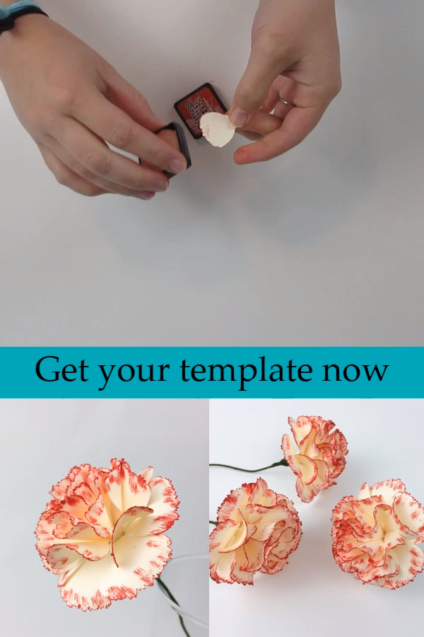 Step-By-Step Paper Flowers | Carnation -   17 diy projects Tutorials paper flowers ideas