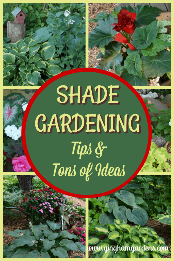 Made In The Shade Gardens (Beautiful Ideas for Your Shade Garden -   17 garden design Low Maintenance house plants ideas