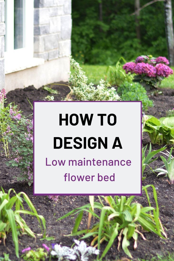 The best tips for designing and planting a low maintenance flower bed -   17 garden design Low Maintenance house plants ideas