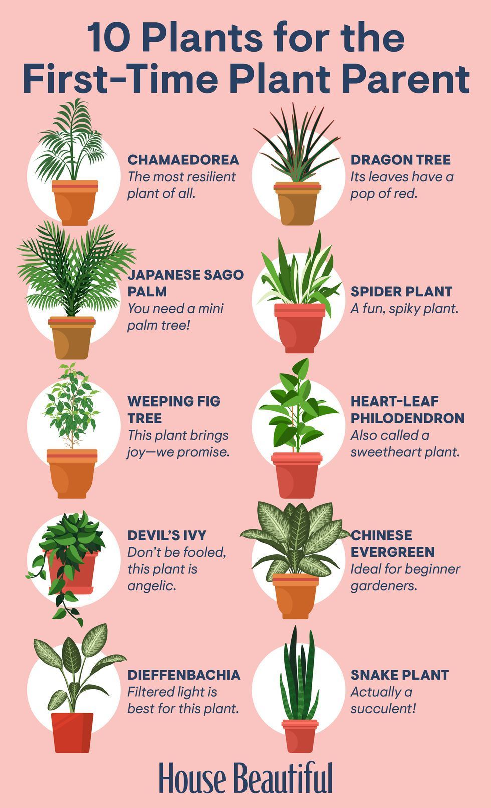 Houseplants That Are Perfect for Gardening Beginners -   17 garden design Low Maintenance house plants ideas