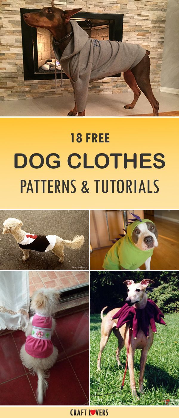 18 Free Dog Clothes Patterns & Tutorials -   18 DIY Clothes Patterns how to make ideas