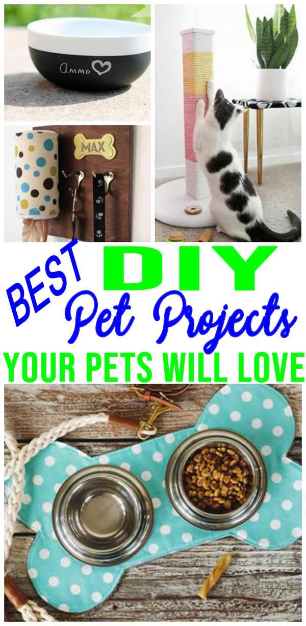 DIY Pet Projects -   18 diy projects To Sell products ideas