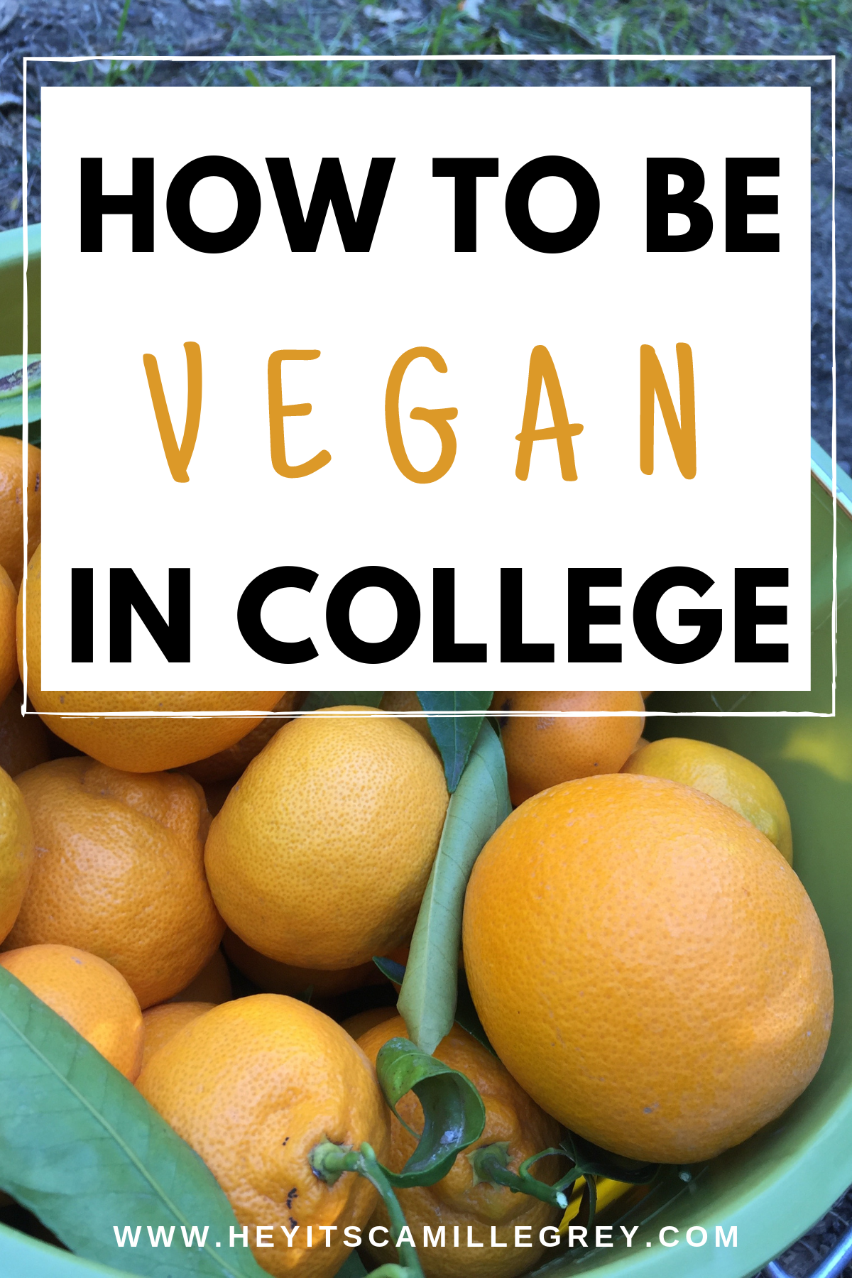 How to Be Vegan in College -   18 healthy recipes For College Students veggies ideas