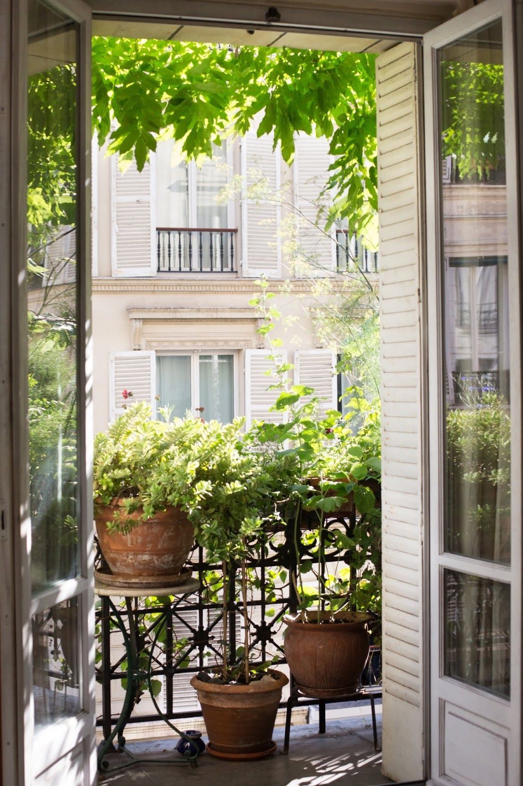 Un jardin sur un balcon haussmannien -   18 planting Balcony inspiration ideas