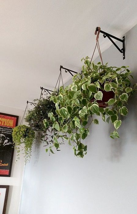 15+ Beautiful Hanging Plants Ideas -   18 plants Green outdoors ideas