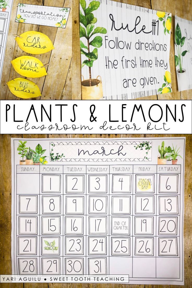 19 plants Teaching teachers ideas