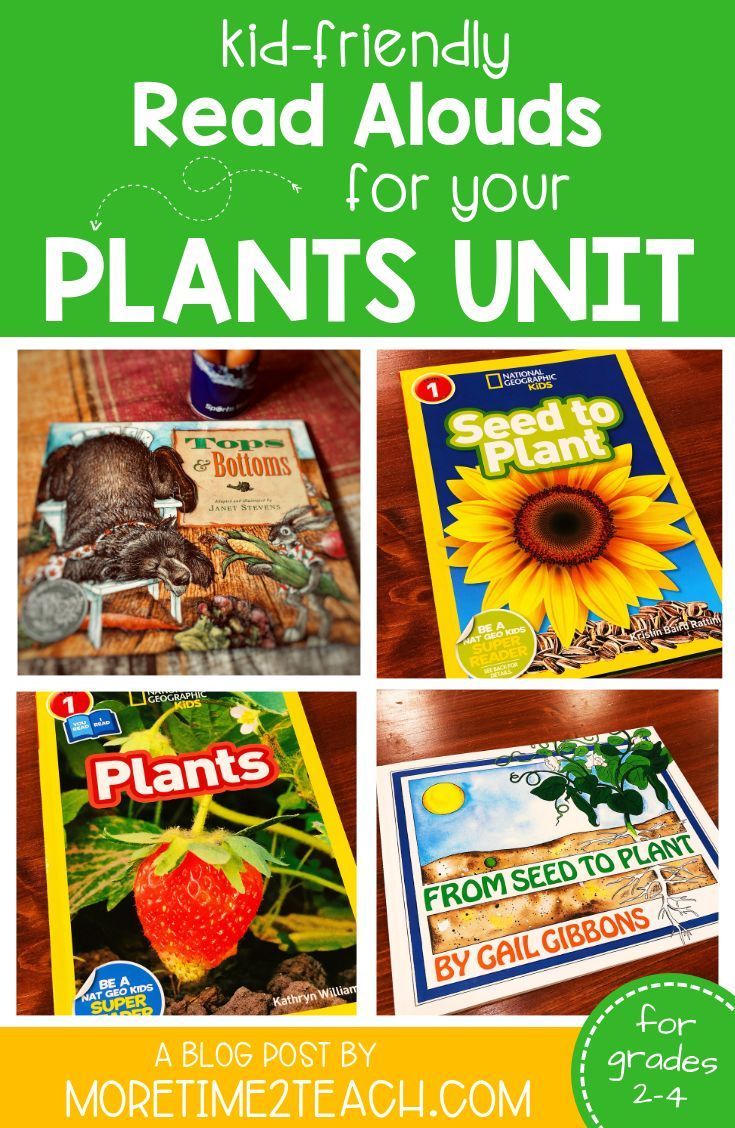 19 plants Teaching teachers ideas