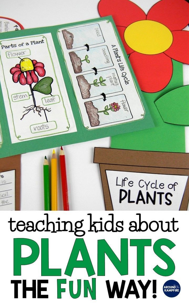 19 plants Teaching teachers ideas