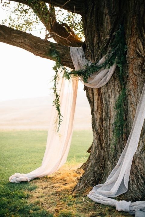 26 Simple And Cute Spring Backyard Wedding Ideas -   19 wedding Simple backyard ideas