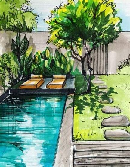 3 plants Landscaping drawing ideas