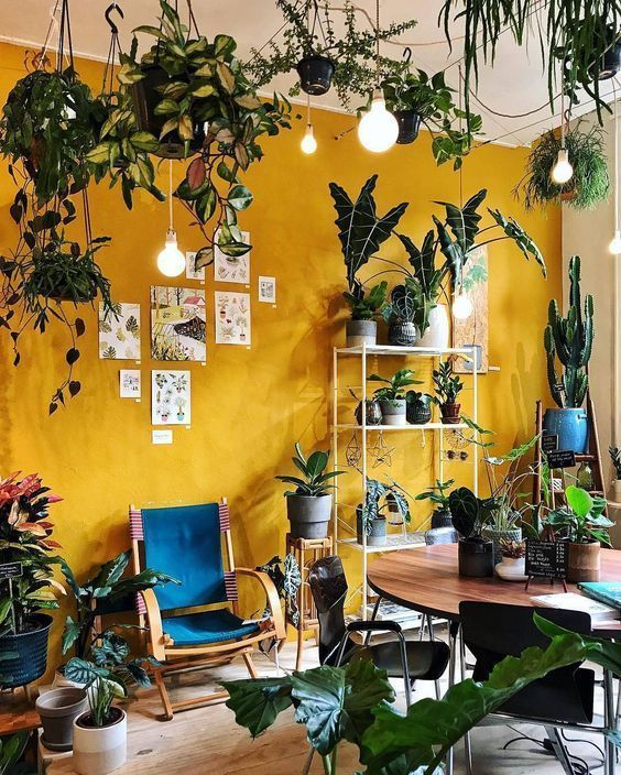 7 vintage plants Room ideas