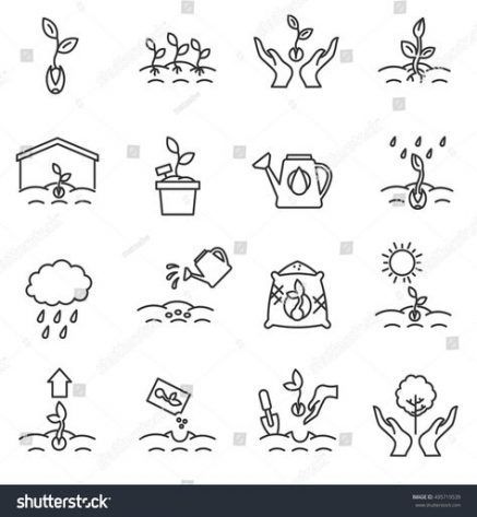 62 trendy plants illustration growing -   8 plants Growing illustration ideas