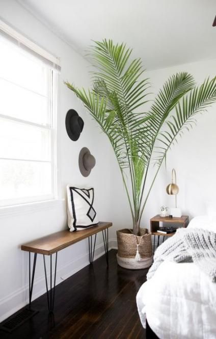 52 Ideas Bedroom Plants Corner -   8 plants Interior bedroom ideas