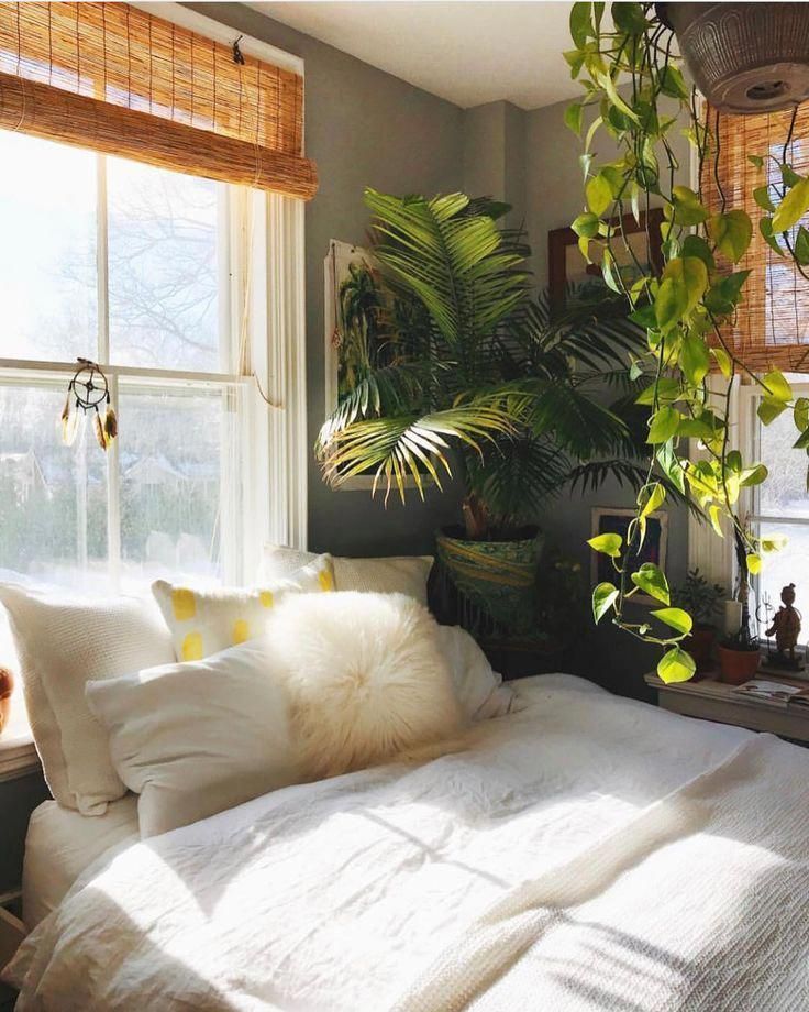 8 plants Interior bedroom ideas