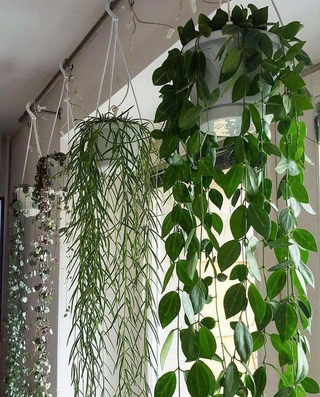 34 Indoor Plant Ideas That'll Instantly Breathe Life Into Your Home -   10 planting Room life ideas