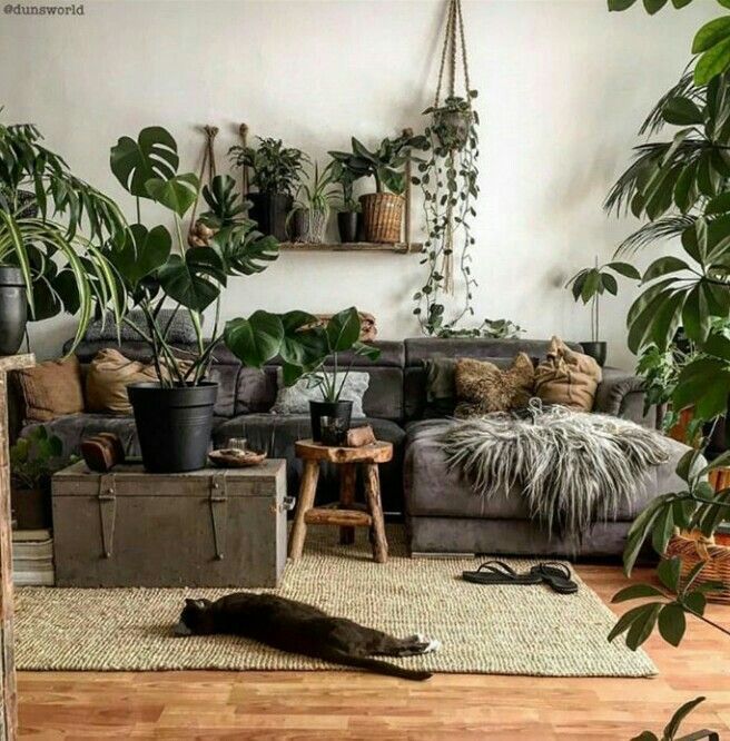 10 planting Room life ideas