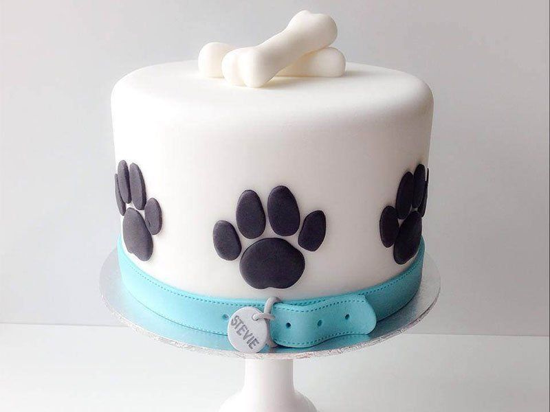 12 Cute Dog Cakes and Dog Shaped Birthday Cake -   11 cake Fondant dog ideas