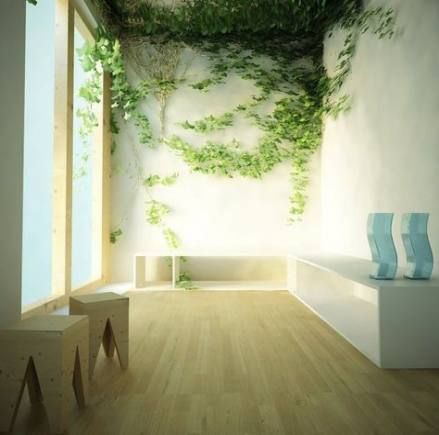 New plants indoor wall vines 43 ideas -   12 climbing planting Indoor ideas