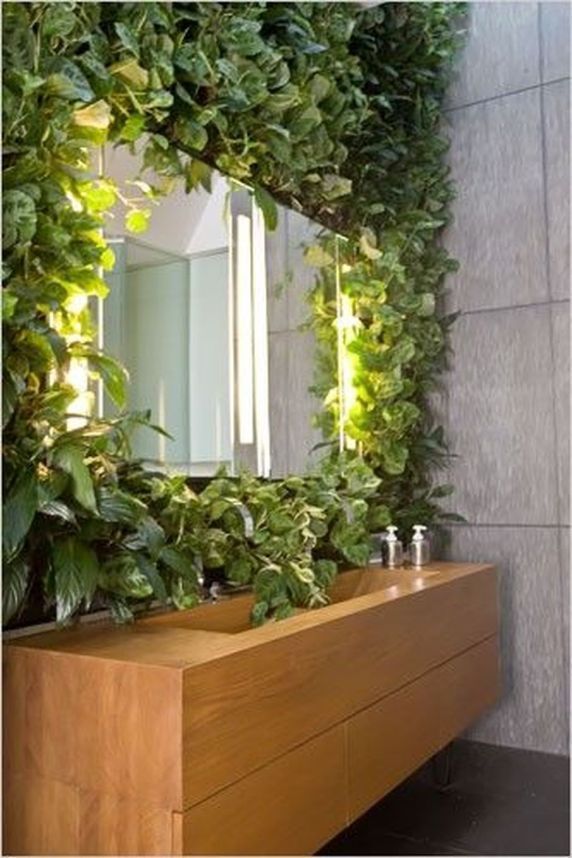 12 climbing planting Indoor ideas