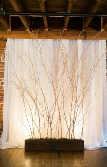 12 wedding Forest backdrop ideas