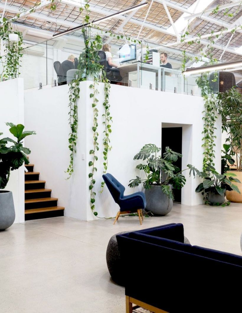 46 The Best Warehouse Design Ideas That You Can Try -   13 plants Office workspaces ideas