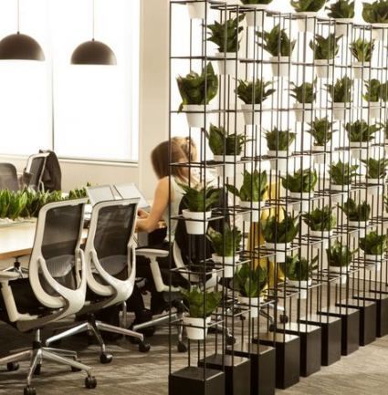 New home office plants ideas -   13 plants Office workspaces ideas