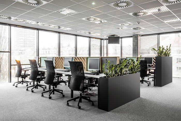 13 plants Office workspaces ideas