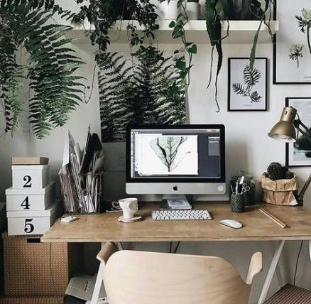 54+ Trendy plants office design dreams -   13 plants Office workspaces ideas