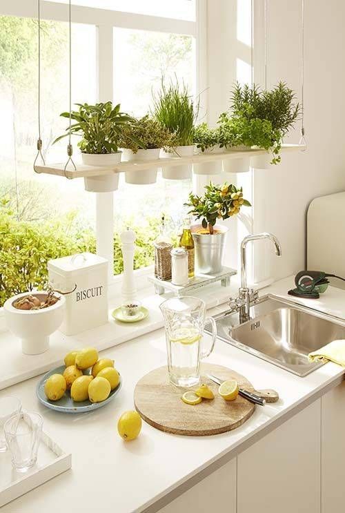 14 plants House kitchen ideas