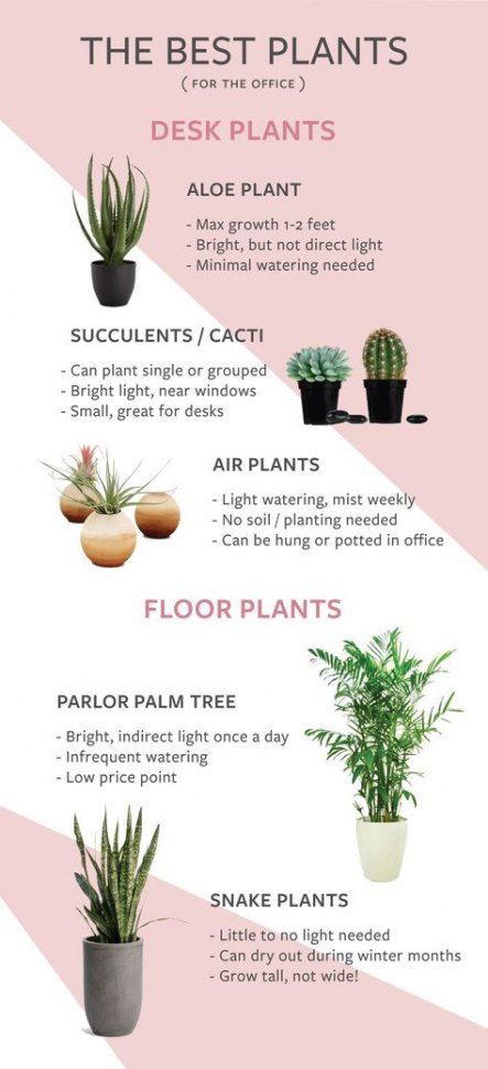 Plants office design home decor 60 Ideas for 2019 -   14 plants Office ideas