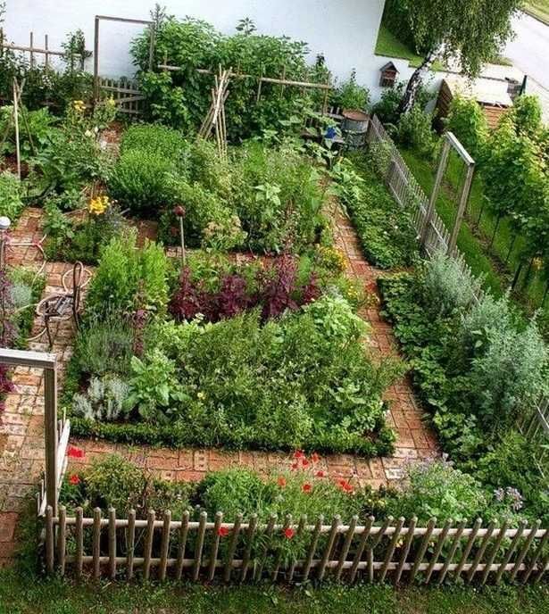 Edible Garden Ideas on Backyards_44 -   15 garden design Inspiration shrubs ideas