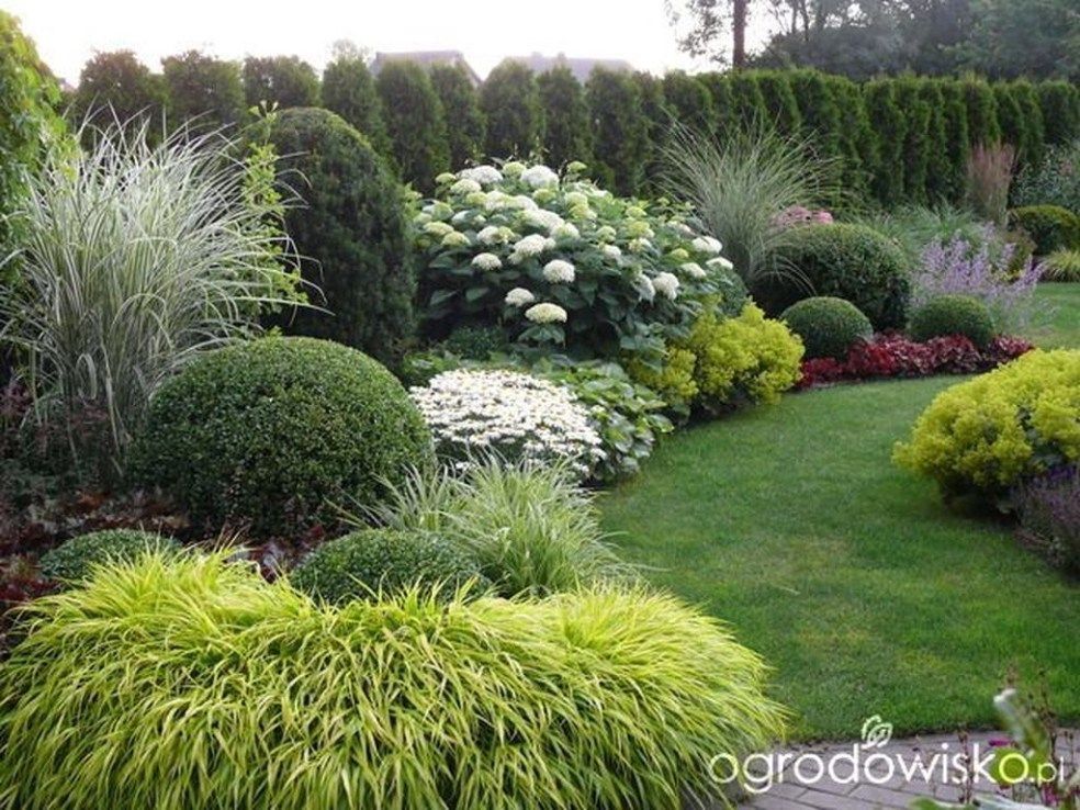 15 garden design Inspiration shrubs ideas